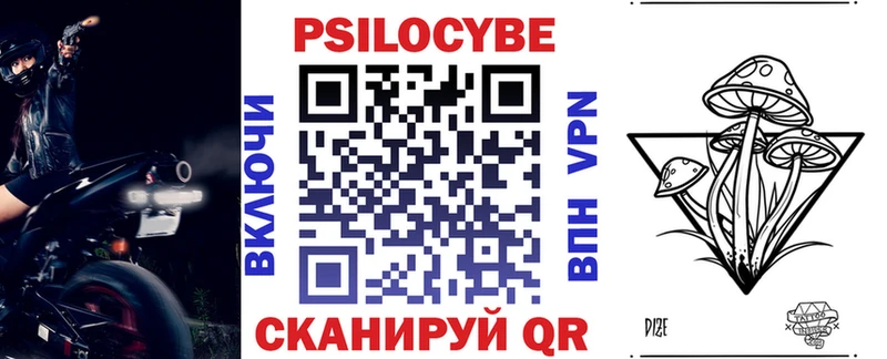 МЕГА tor Кунгур Псилоцибиновые грибы Psilocybe