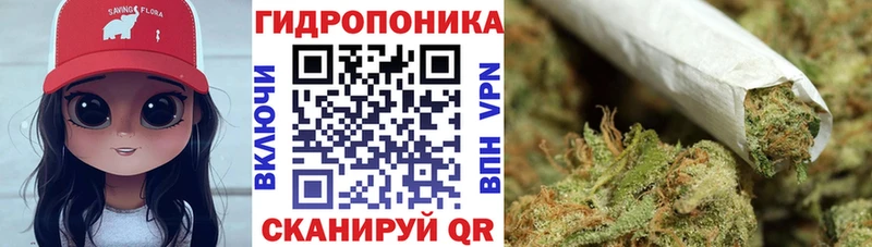Шишки марихуана гибрид Кунгур